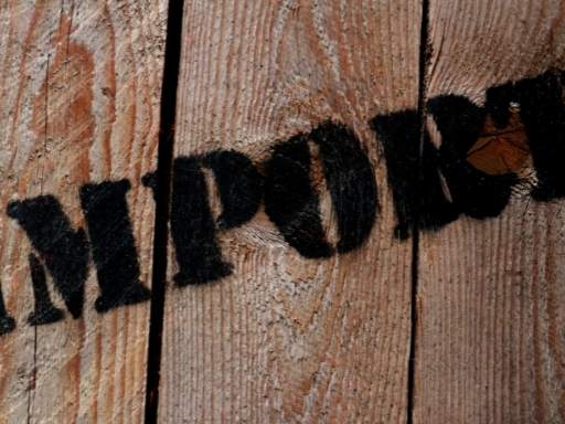 importador