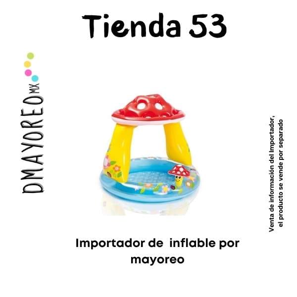 Tienda 53: Importador de inflables al mayoreo